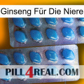 Ginseng Für Die Niere viagra2